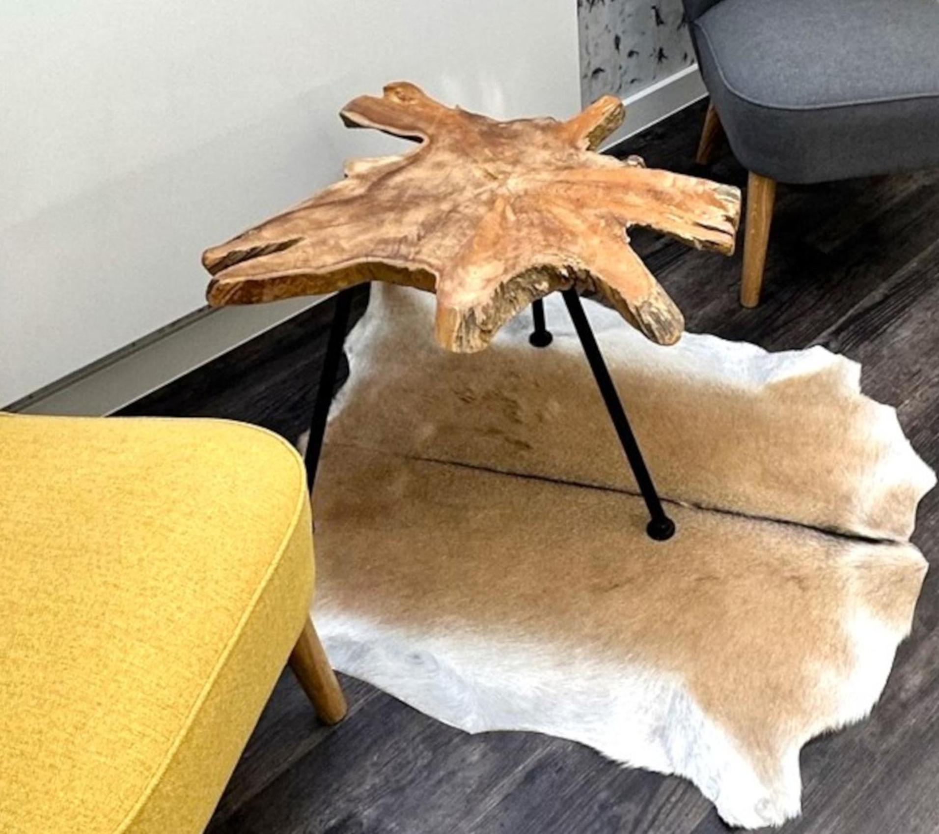 Alpenoase Schliersee - Grosse Suite Mit Sauna Oder Gemuetliche Studio Appartements Phòng bức ảnh